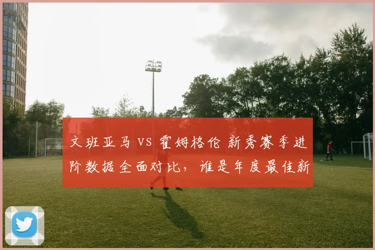 文班亚马 vs 霍姆格伦 新秀赛季进阶数据全面对比，谁是年度最佳新锐？